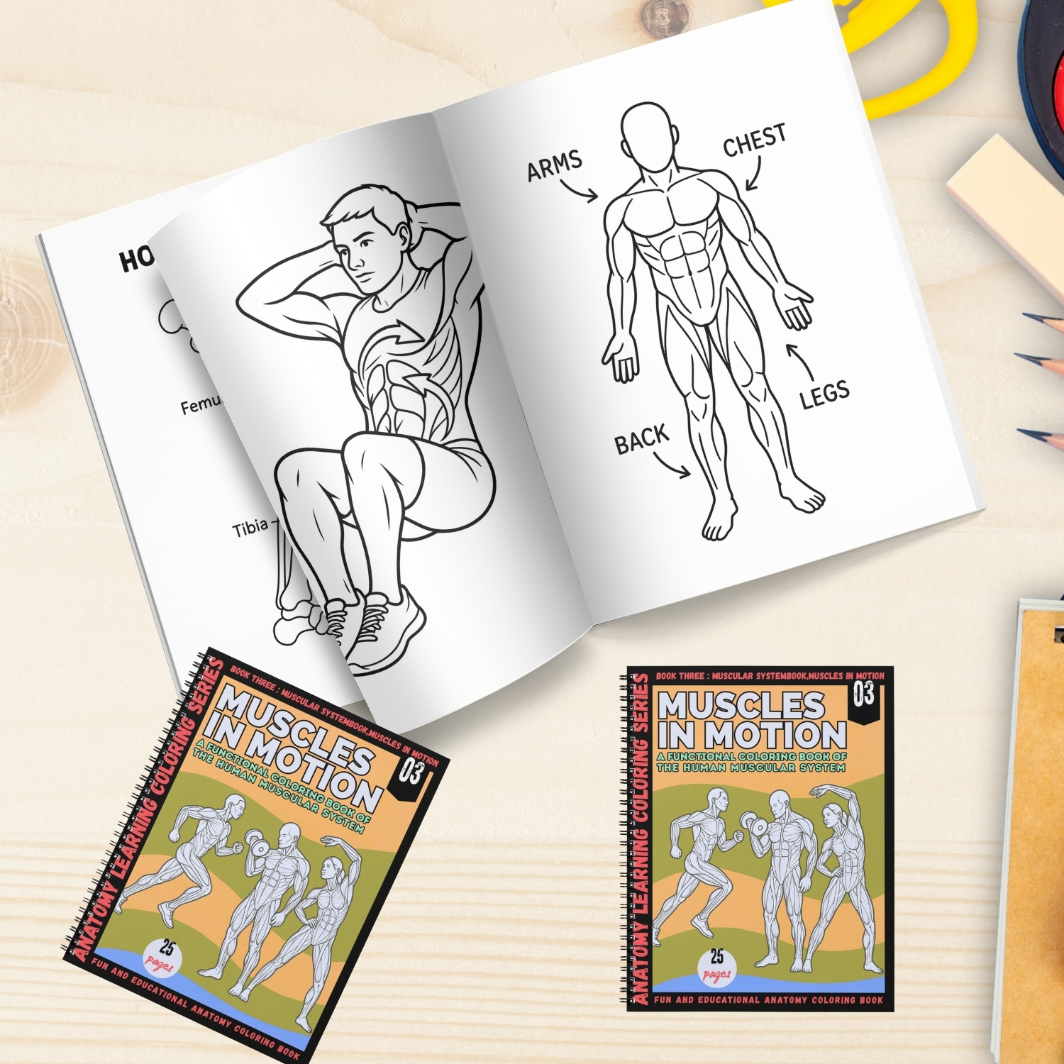 anatomy: muscles in motion coloring book anatomy: muscles in motion coloring book