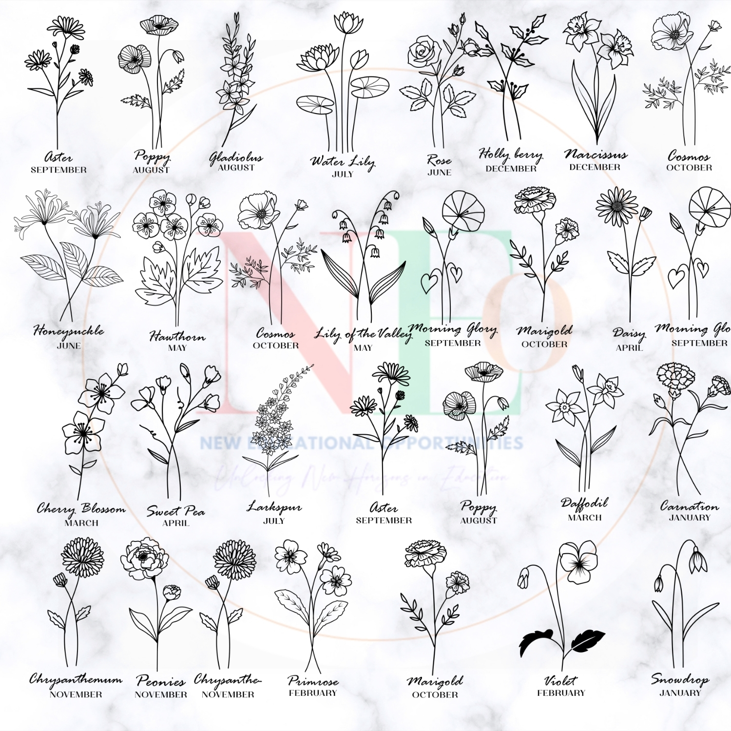 minimalist wild blooms & botanical sticker pack minimalist wild blooms & botanical sticker pack