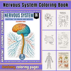 anatomy: nervous system coloring book: explore the brain