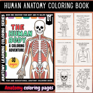 human body:human anatomy coloring book for all ages
