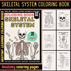 skeletal system anatomy coloring book