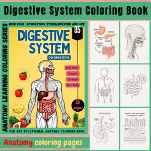 anatomy: digestive system coloring book for adults