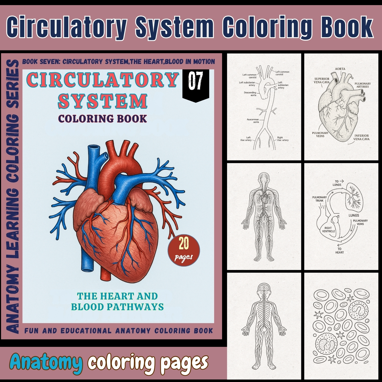anatomy: circulatory system coloring book: explore, learn.. anatomy: circulatory system coloring book: explore, learn..